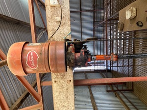 Shearing Plants
