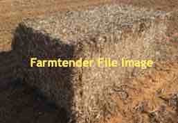 Faba Bean Straw 8x4x3 Bales