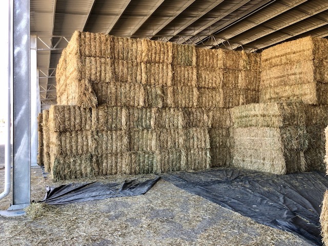 Oaten Hay 8x4x3 Bales