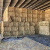 Oaten Hay 8x4x3 Bales