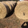 100mt Oaten Hay 5x4 Rolls
