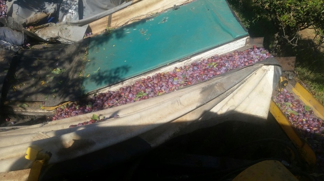 OMC Orchard Machinery Tree Shaker