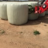 Prime Lucerne Silage