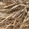 140mt Wheaten Hay 480kg 8x4x3 Bales 
