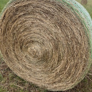 Clover & Rye pasture rolls - $50 per roll