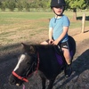 Mini Pony. Approx 6 years old/8-9hh