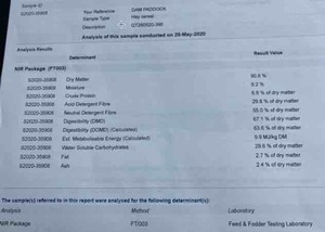 Wheaten Hay 8x4x3 Bales 