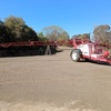 Croplands boom 