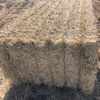Barley Straw 500kg 8x4x3 Bales