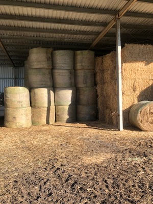 5x4 Net wrap rye clover hay