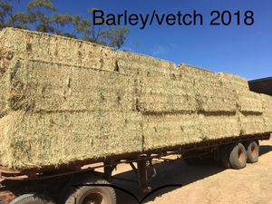 Vetch & Barley Hay
