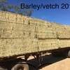 Vetch & Barley Hay