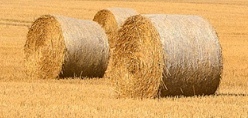 400 x Oaten Hay 5x4 Round Bales