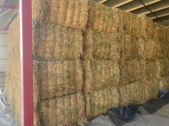 Lucerne Bales