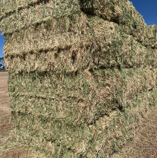 Oaten Hay 8x4x3 Bales