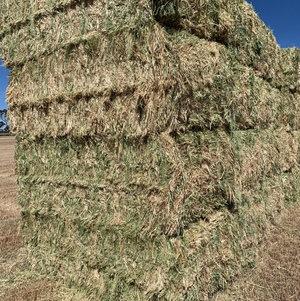 Oaten Hay 8x4x3 Bales