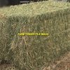 200mt Barley Hay 620kg 8x4x3 Bales 