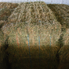 Lucerne / Teff Grass Small Square Bales