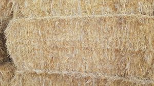 Organic oaten/rye grass hay.