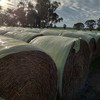 Oaten Hay Rolls - 400kg - Wrapped for weather protection (Not Silage)