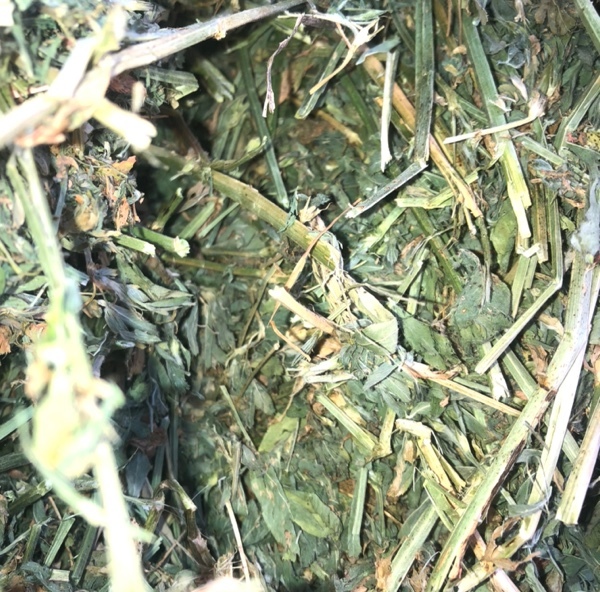 45  Bales Lucerne Hay in 8x4x3’s - SOLD PER Ton