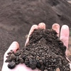 Feed Lot Composted Manure/Fertiliser