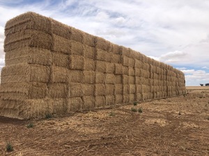 33t Header Trail Barley Straw 8x4x3 Bales  average 520kg