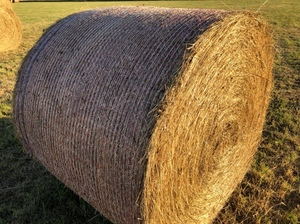 Pasture Hay bales