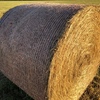 Pasture Hay bales