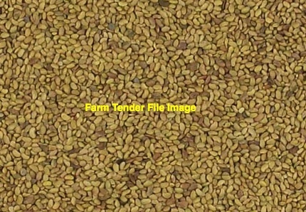 Lucerne Seed 25kg Bags