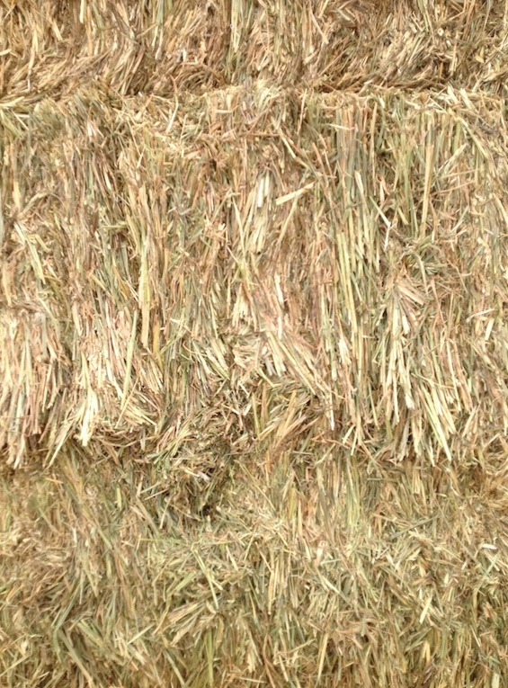 80mt Wheaten Hay 'New Season' 700kg approx 8x4x3 Bales