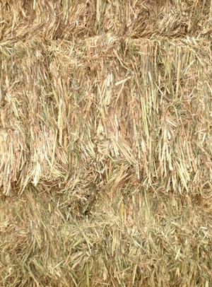 80mt Wheaten Hay 'New Season' 700kg approx 8x4x3 Bales