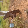 3PL Single Tyne Ripper