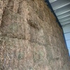 Vetch Hay 8x4x3 Squares 