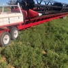 2014 Case IH 3152 Header 40ft Front & Trailer
