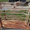 Thunderbird Sheep Weigh Cradle And Bars 