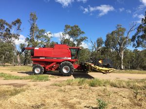 2000 CASE 2388 Header with 36 ft Honeybee Front