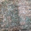 Wheaten Hay - 250 Bales