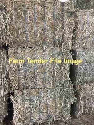 Canola Hay HD 8x4x3 Bales
