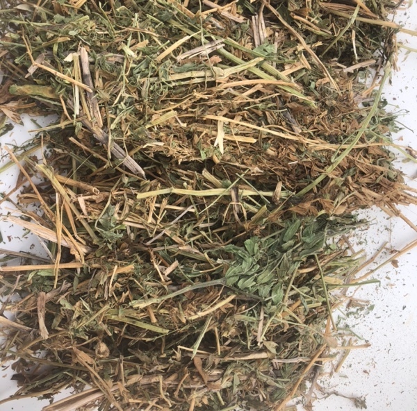Vetch hay 
