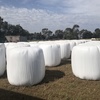 15.3%protein Lucerne, Oaten, Ryegrass Silage 580kg Round Bales with Feed Test