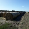Oat hay rolls 5x4