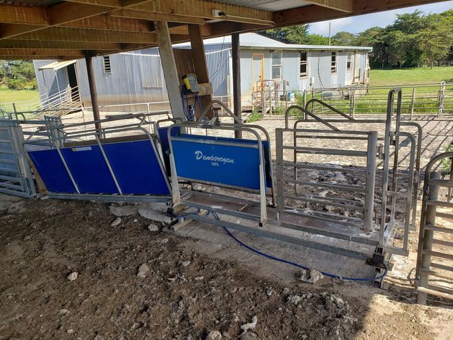 Sheep Handler with True Test weigh bars and Monitor