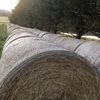 Hay Rounds 5' x 4'