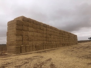 63 t Header Trail Barley Straw 8x4x3 Bales average 480kg