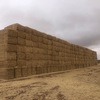 63 t Header Trail Barley Straw 8x4x3 Bales average 480kg