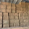 Vetch Hay 8x4x3 Squares 