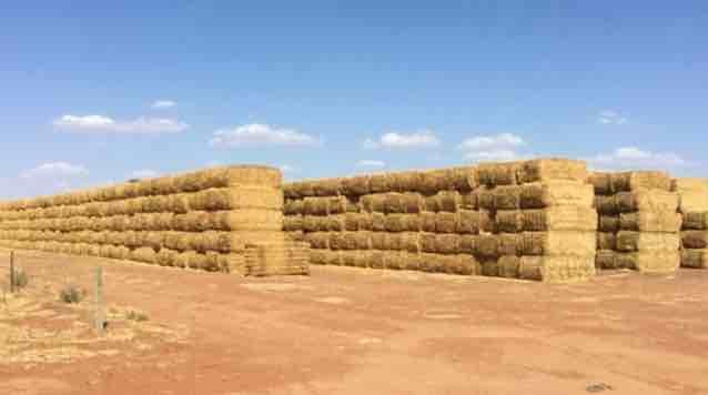 Wheaten Straw 8x4x3 Bales
