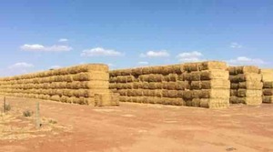Wheaten Straw 8x4x3 Bales