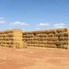 Wheaten Straw 8x4x3 Bales